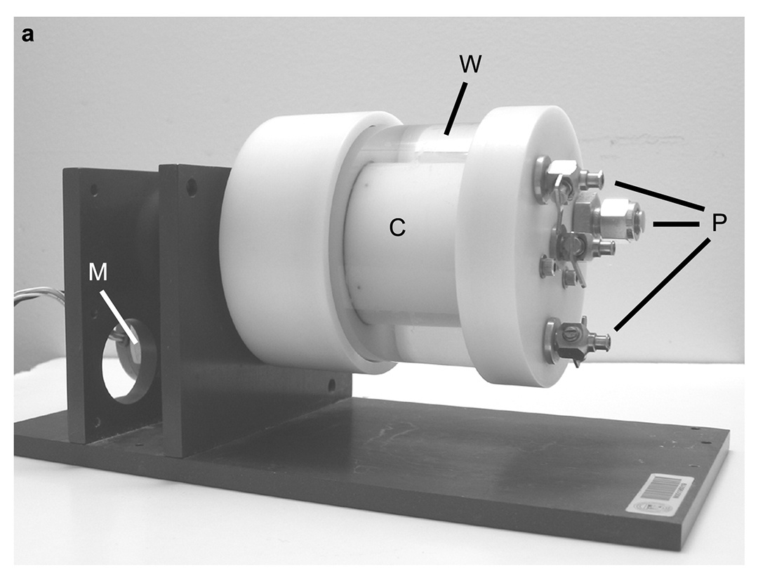 Effects of Simulated Microgravity on the Development of the Swimbladder and Buoyancy Control in Larval Zebrafish (<i>Danio rerio</i>)