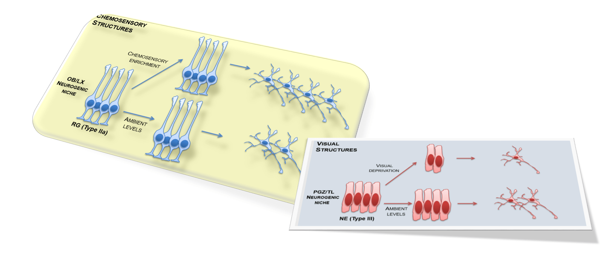 new operator - What is the 'new' keyword in JavaScript? - Stack Overflow visual data 6